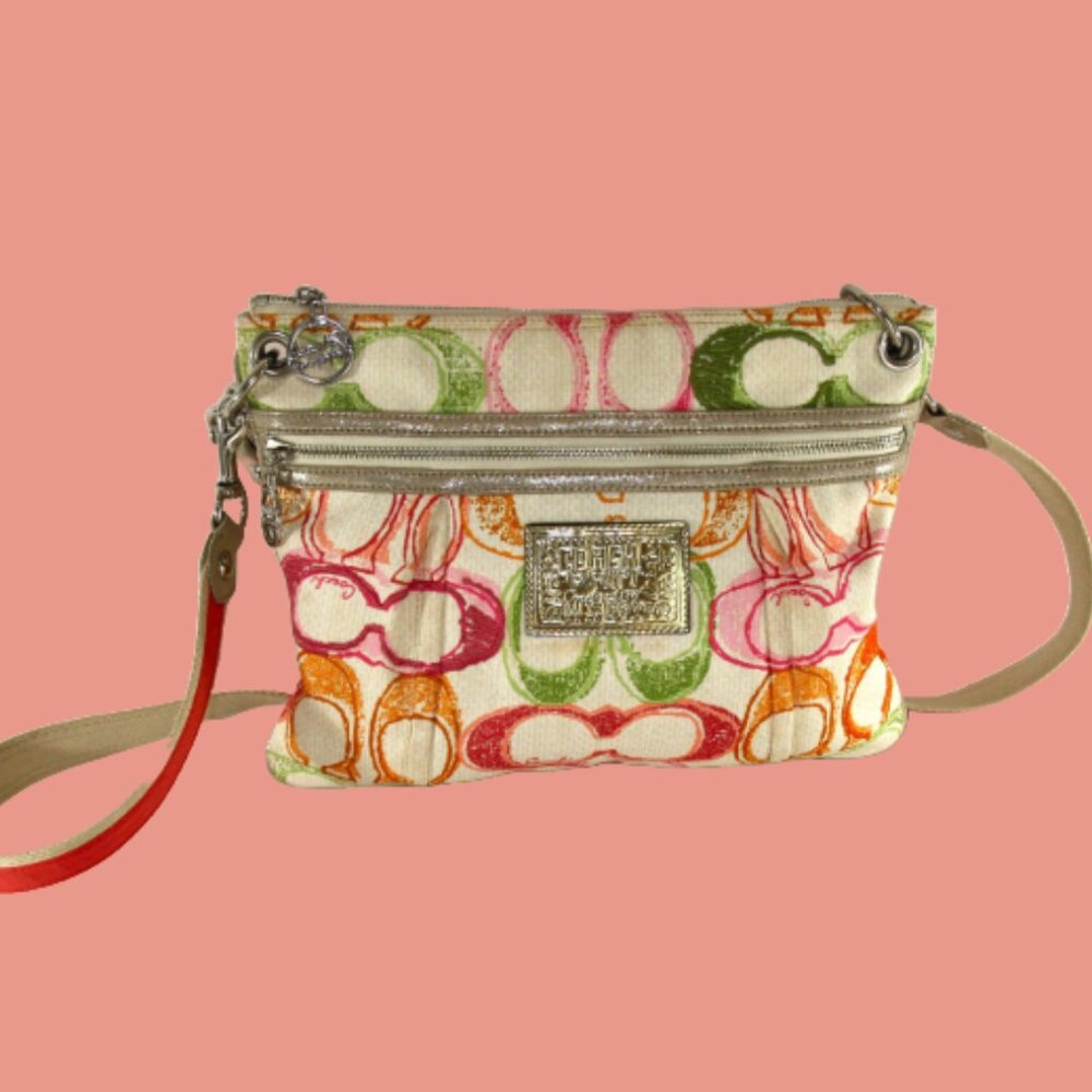 Coach Poppy Crossbody and Shoulder bag multicolored EUC